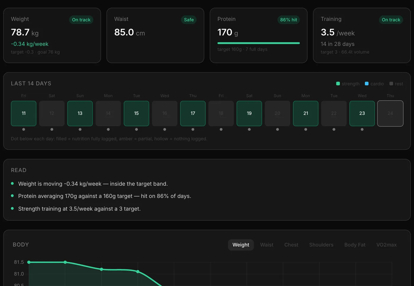 The fitness overview: weight, waist, protein and training all on track, with plain-language notes