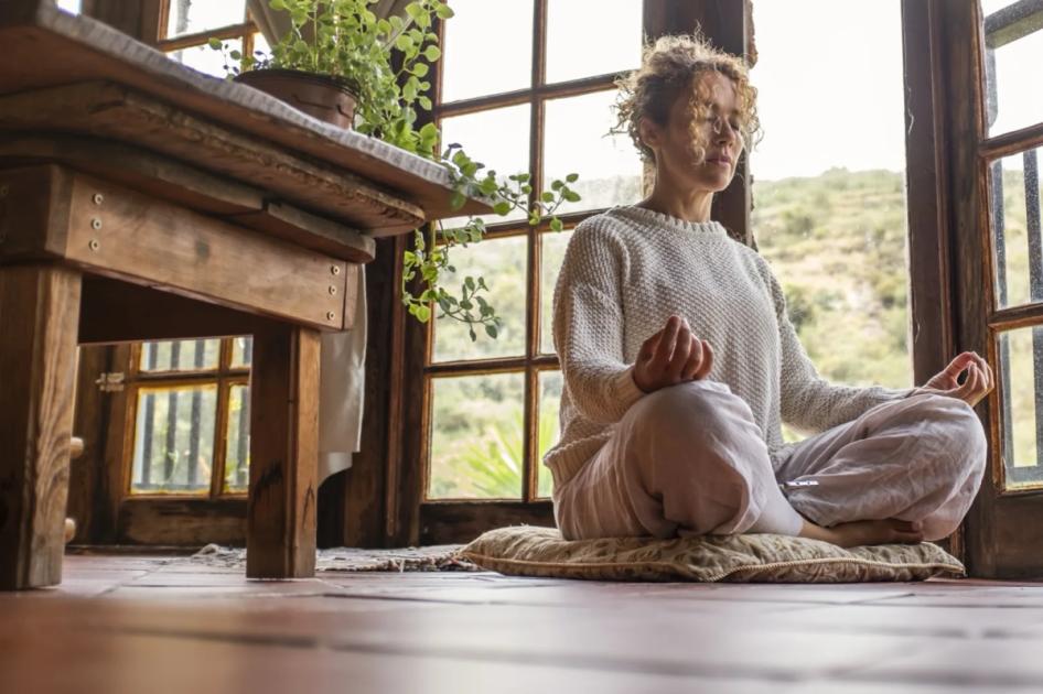 Holistic Performance: The Mind-Body Operating System