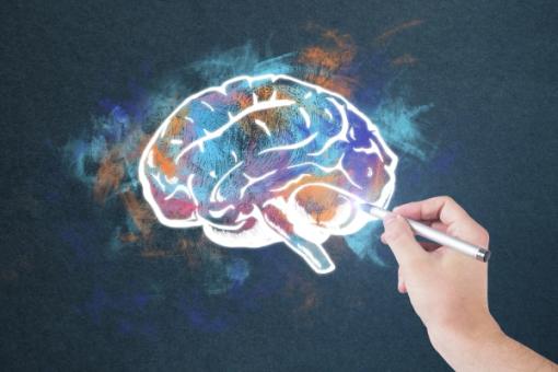 Mental Models for Better Decisions: A Practical Toolkit