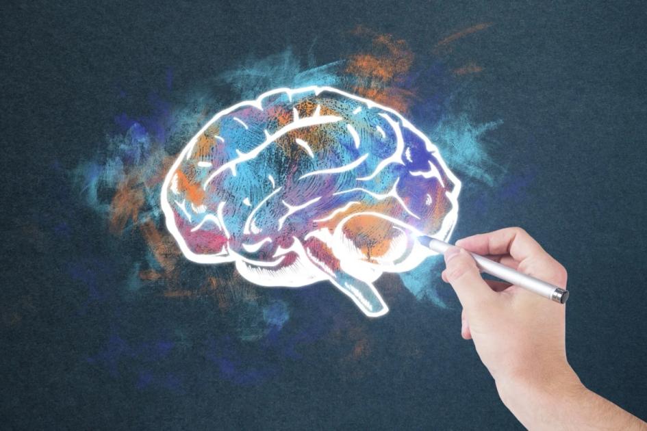 Mental Models for Better Decisions: A Practical Toolkit