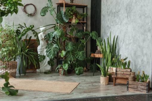 Atomic Habits Applied: From Theory to Daily Practice