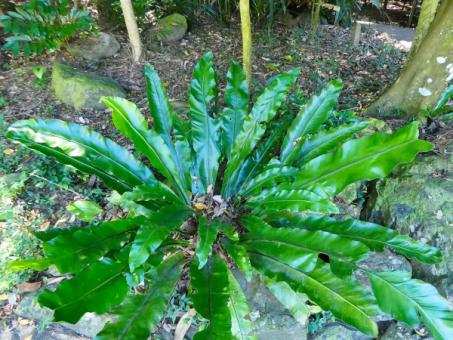 Stress Management: From Survival Mode to Thriving